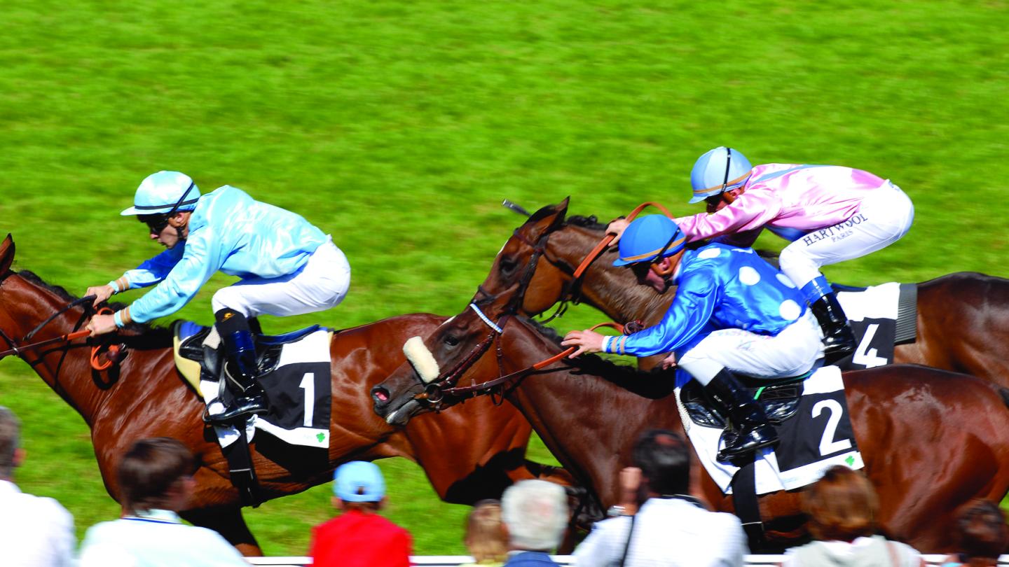 Häst race, Deauville
