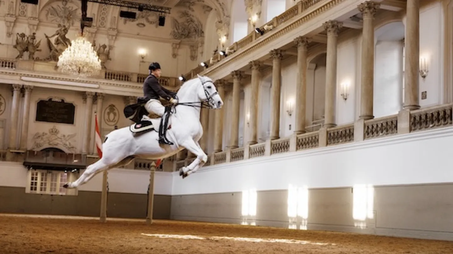 Spanska hovridskolan i Wien