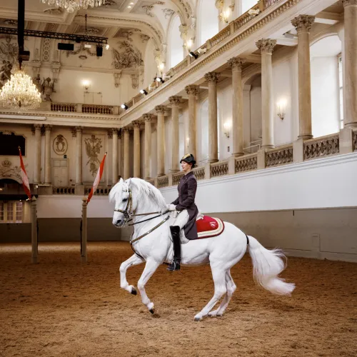 Spanska hovridskolan i Wien 2