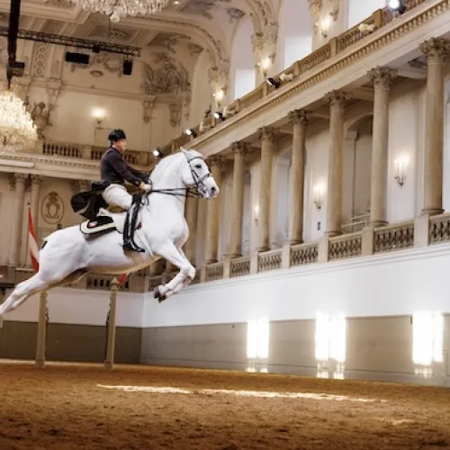 Spanska hovridskolan i Wien