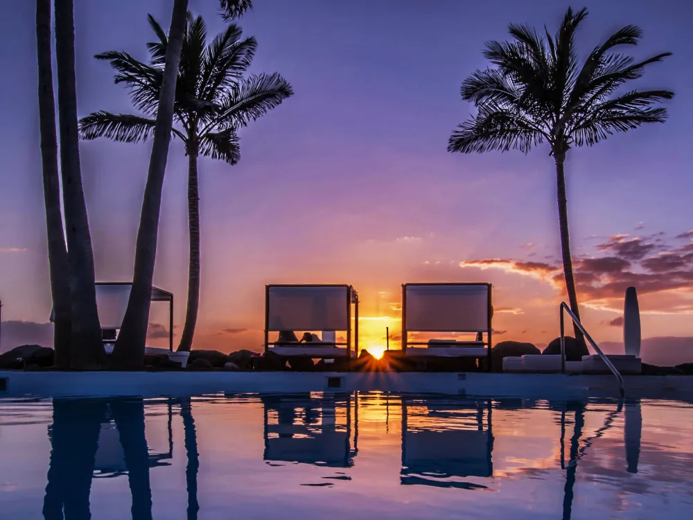 Hotell Jardin Tropical: Beach club & subtropisk trädgård – nära till allt!
