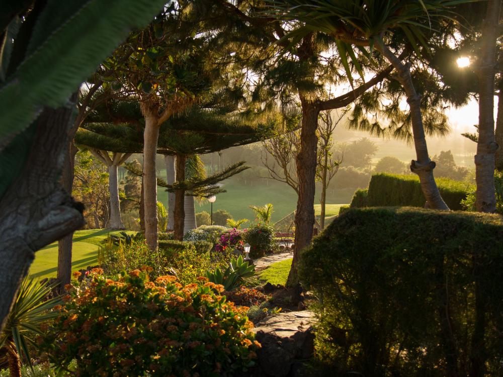 Trädgård på Bandama Golf Hotell, Santa Brigida Gran Canaria