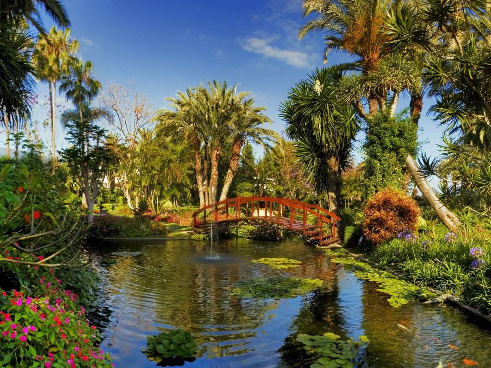 Oriental trädgård på Hotell Botanico & The Oriental Spa Garden, Puerto de la Cruz Teneriffa