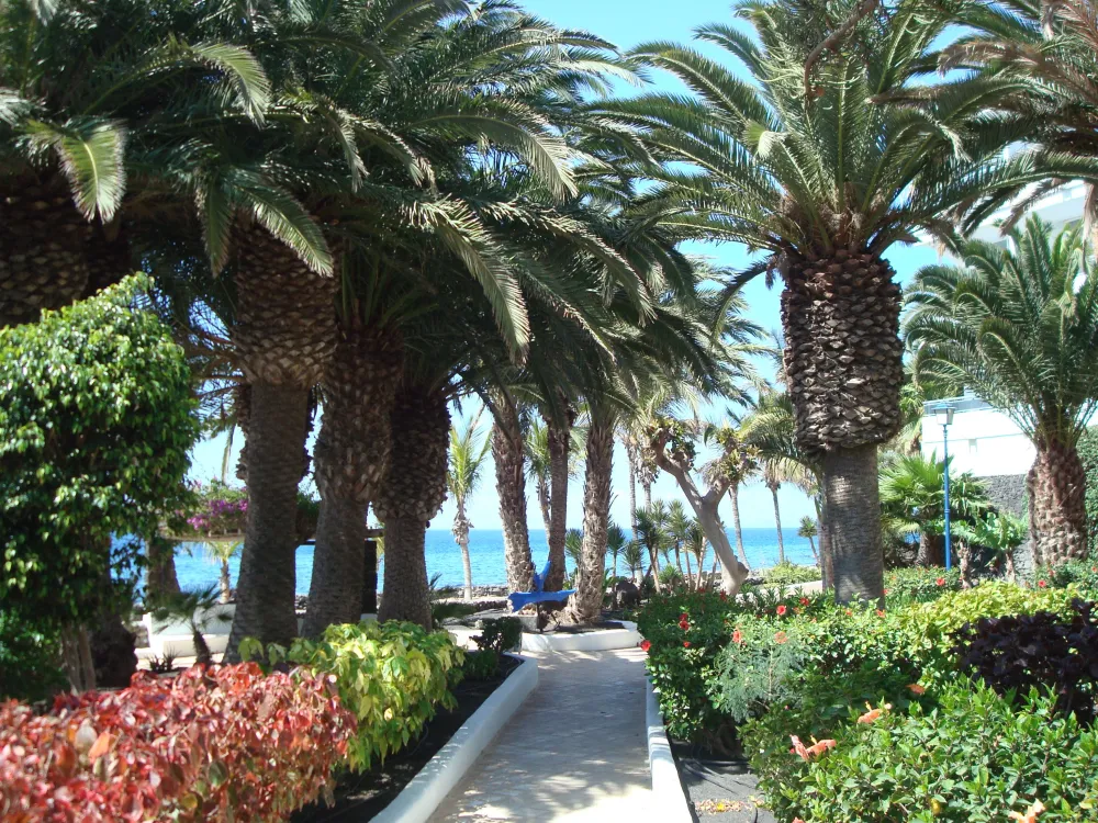 Exteriör VIK Hotel San Antonio, Puerto del Carmen Lanzarote