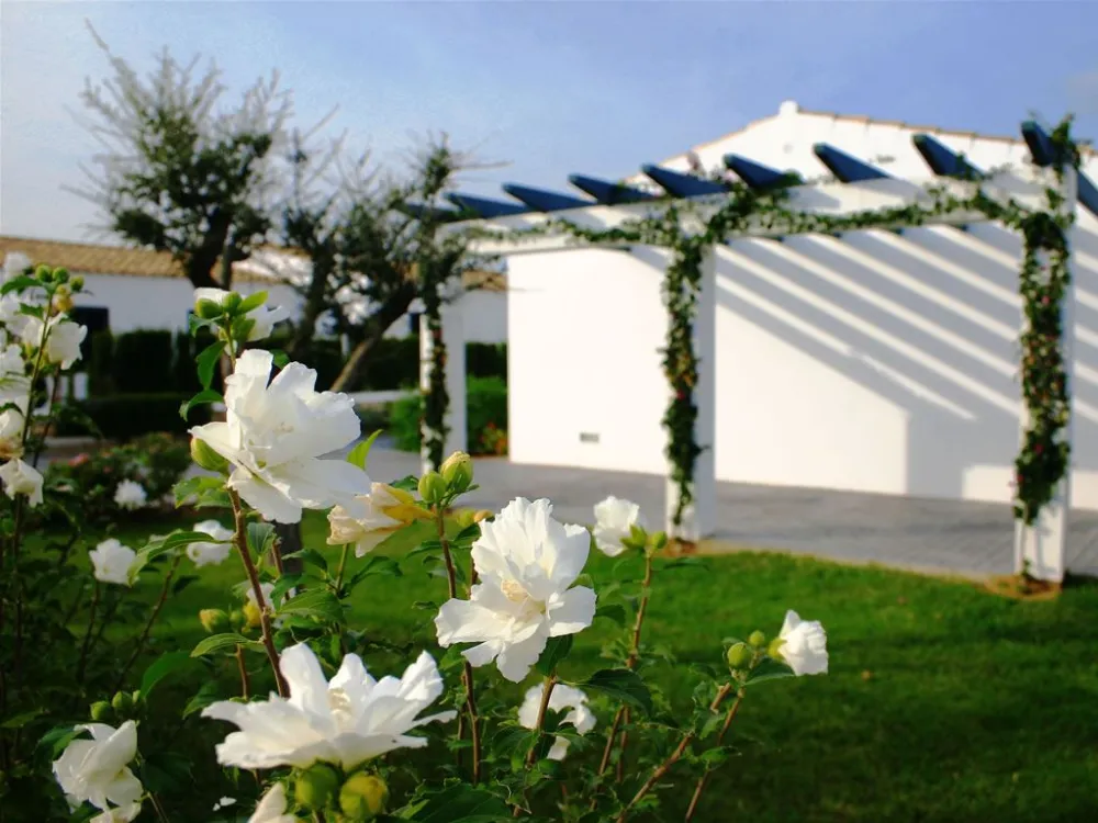 Trädgård, Villas Finesse, Son Bou, Menorca, Signaturresor