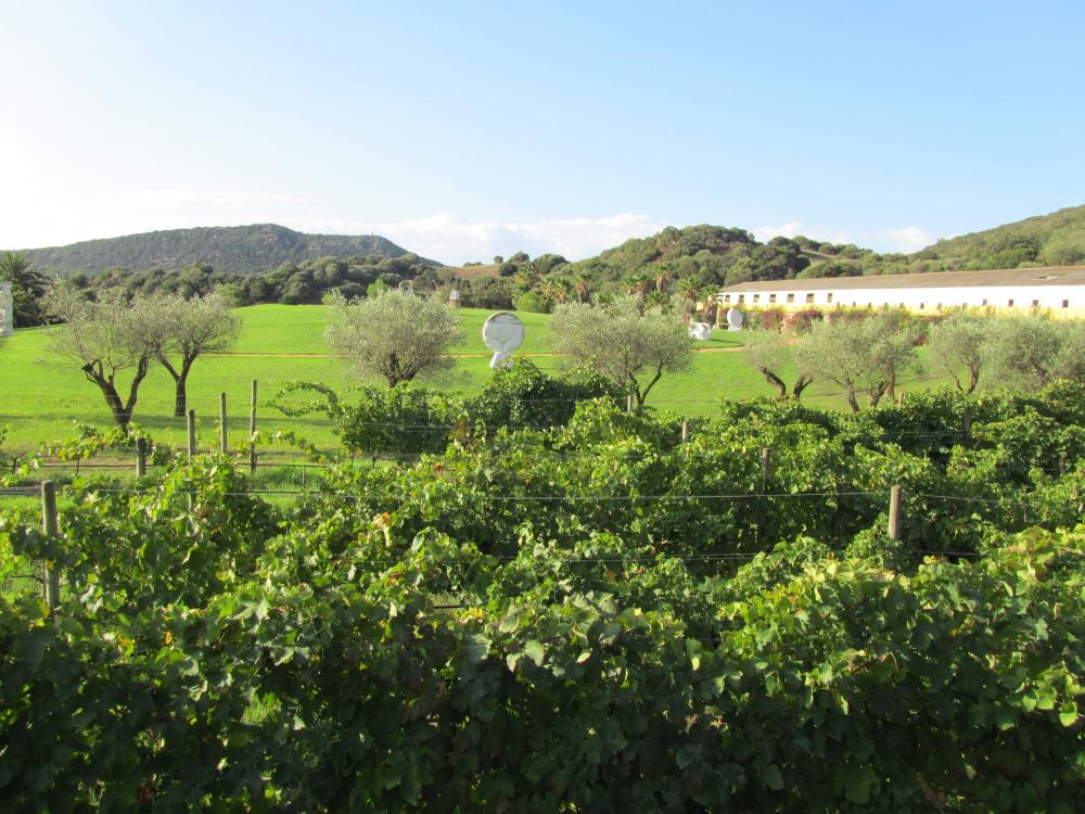 Hotell Ca Naxini, Ferreries, Menorca, Signaturresor